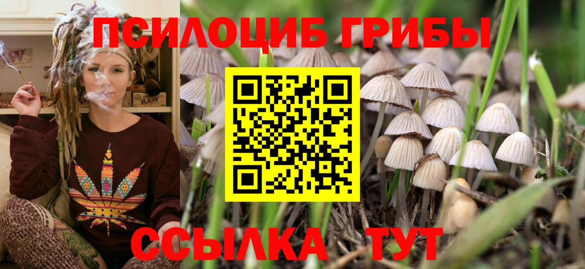 Осинники  купить наркоту  Вход с VPN  Псилоцибиновые грибы мицелий  Псилоцибиновые грибы Magic Shrooms 