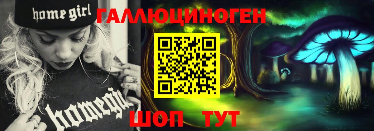 Галлюциногенные грибы мухоморы Осинники